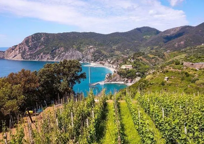 Casa Del Pescatore مونتيروسّو ال ماري